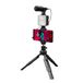 CASR LED-projector, spot, met statief en microfoon, zwart