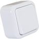 Interrupteur simple pour montage en saillie Blanc