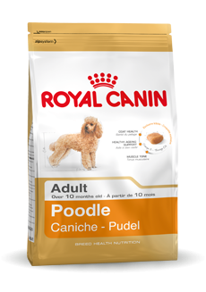 Royal Canin Poodle Adult - 1,5 kg