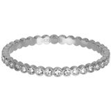 iXXXi Small Circle Stone Vulring 2 mm Goud
