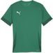 Puma Teamgoal Matchday Shirt Korte Mouw Kinderen - Groen | Maat: 152
