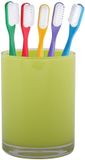 Home & Styling Troyes Kunststof Tandenborstelhouder Lime 7 x 9 cm
