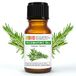 Rozemarijn Laborbio Rozemarijn Bio Etherische olie 100% Pure 10 ml