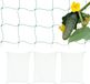 Relaxdays Klimnet Planten - Set van 4 - 180 x 270 cm - Kunststof