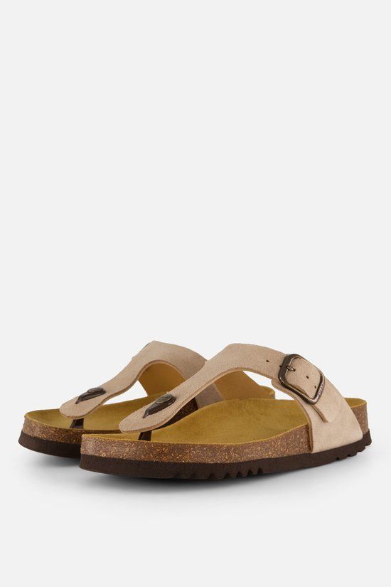 Scholl Anais Teenslippers Dames