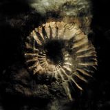 Suburban Sinke Dus Modus Vivendi (CD)