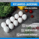 Shenzhen Haorui Industrial Technology Co., Ltd. Porte-oeufs pour réfrigérateur - Céramique Blanche - 10 Œufs
