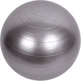 Sun&Sia Fitnessbal 55cm Grijs