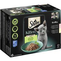 Sheba Multipack Kitten in Saus Fijne Variatie met Zalm, met Kip MSC 12x85 g