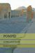 POMPÉI: Independently Published Pompéi Paperback