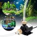 DC 12V Mini-pompe à eau – pompe submersible sans balais pour étang d'aquarium – fontaine solaire, pompe de circulation pour piscine