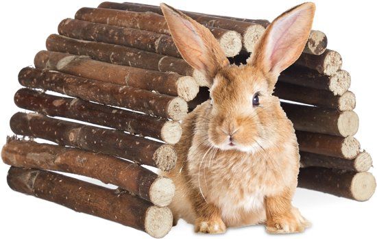 Relaxdays loopbrug hout - hamsterbrug - knaagdieren - brug - houten tunnel - natuurlijk