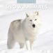 Red Robin Snow Animals Kalender 2027