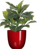 Mica Decorations Kunstplant Philodendron - vert - 49 cm - in bloempot - rouge