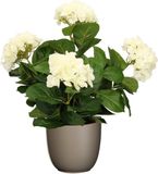 Mica Decorations Hortensia kunstplant/kunstbloemen 45 cm - wit - in pot taupe mat - Kunst kamerplant