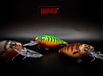 Rapala SHAD RAP® ELITE Gilded Firetiger 7 g 5.5 cm