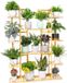 Marque non spécifiée Bambou Stratifié Supports de plantes pour extérieur et intérieur - Étagère à plantes pour coin plantes dans jardin, balcon et salon