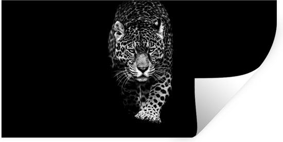 StickerSnake Muursticker - Luipaard - Zwart/Wit - 80x40 cm