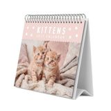 Grupo Erik Kittens Katten Bureau Kalender 2027 UK - Kattenliefhebber