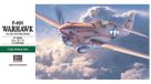 Hasegawa 1:48 P-40N Warhawk Plastic Model Kit