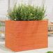 Maison Exclusive - Jardinière, brun foncé, 90x60x68,5 cm, pin massif