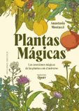 Plantas Obelisco Plantas Magicas: Las Conexiones Mágicas de Las Plantas Con El Universo