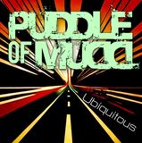 Ubiquitous Puddle Of Mudd Ubiquitous