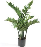 Emerald - Kunstplant Zamioculcas 70cm - Groen