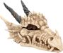 Nemesis Now Dragon Skull Box