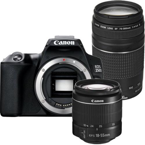 Canon EOS 250D zwart + 18-55mm DC III + 75-300mm III zwart