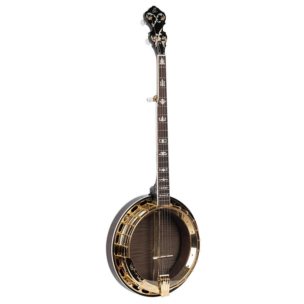 5-snarige banjo's