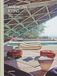 American Icons: The Architecture of the United States: Visions and Defiance