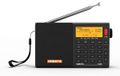 Radio portable FM MW SW LW - Ondes courtes - RDS - Rechargeable 2000 mAh - Noir avec antenne externe