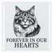 Bellatio Decorations Herdenking cadeau tegel kattenliefhebber - Sibersiche Boskat kat/poes - zwart/wit - keramiek - 15 cm