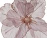 Everlands Papaver polyester d27h10 cm a3 kerst