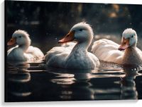 Merkloos / Sans marque Take your time Canvas - Eenden - Water - Wit - 100x75 cm Foto op Canvas Schilderij (Wanddecoratie op Canvas)