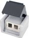 Telegärtner 100021370 Boîtier de connexion réseau en saillie CAT 5e, CAT 6, CAT 6A Gris