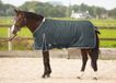 Harry's Horse Deken Thor 300gr Grijs - 125/165