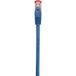 Renkforce RF-4737372 Netwerkkabel Blauw 0,25 m Cat6 S/FTP
