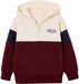 Vertbaudet sweater met capuchon voor jongens met colourblocking