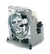 ViewSonic RLC-070 Projector Lamp