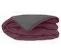 TOISON D'OR Couette chaude bicolore microfibre 400 gr/m2 160x220 cm Polyester