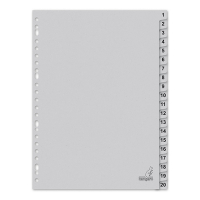 Kangaro ECO Cardboard Index A4 with 20 Tabs (23-Hole)