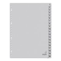 Kangaro ECO Cardboard Index A4 with 20 Tabs (23-Hole)