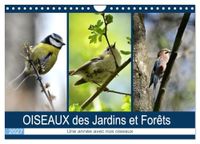 OISEAUX CALVENDO OISEAUX des Jardins et Forêts (Calendrier mural 2027 DIN A4 vertical), CALVENDO calendrier mensuel