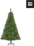 Black Box Trees Charlton Kunstkerstboom - H185 cm - Groen