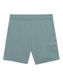 PUMA ESS Logo LAB Uitvoering Shorts TR B
