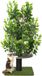 Goodivery ® Griffoir naturel pour grimper, se cacher et dormir avec feuilles interchangeables - Multi-étapes, facile à assembler - Matériaux respectueux des animaux, robuste et breveté durable - 60 x 60 x 160 cm, Vert