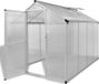 Icecat Serre de jardin avec cadre de base 4,6 m² aluminium renforcé