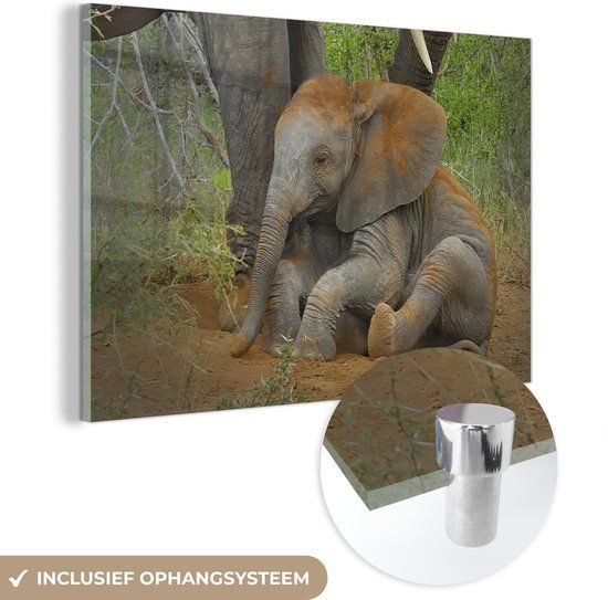 MuchoWow® Glass Painting 150x100 cm - Elephant - Acrylic Glass - Multicolor